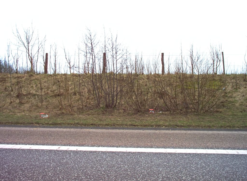 Roadside frame with detected objects marked