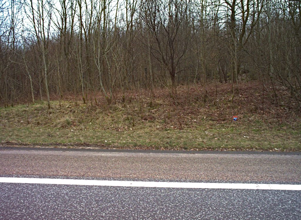 Roadside frame with detected objects marked