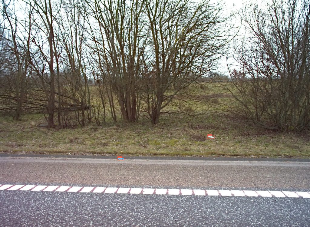 Roadside frame with detected litter masked
