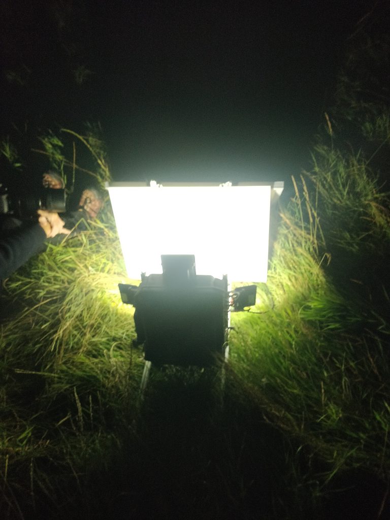 The trap in operation at night