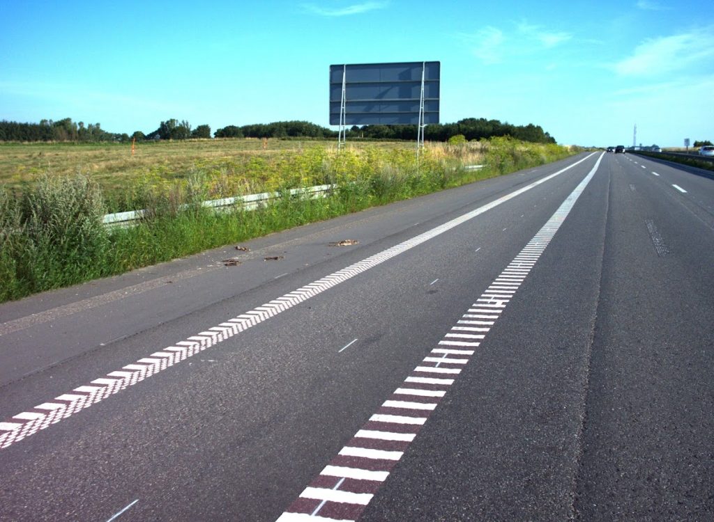 Sample photo of automatic roadkill detection using CamAlien