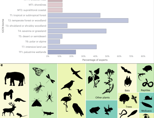 Opportunities and challenges for monitoring terrestrial biodiversity in the robotics age
