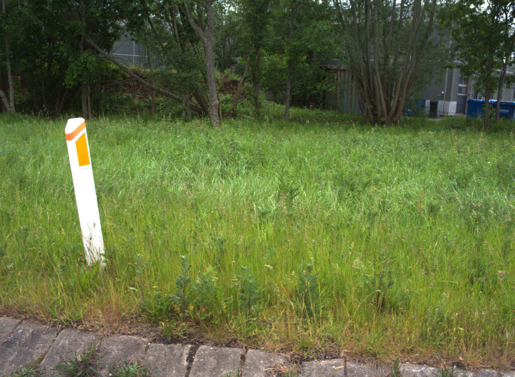 Sample photo from CamAlien showing sharp image when driving 16 km/h