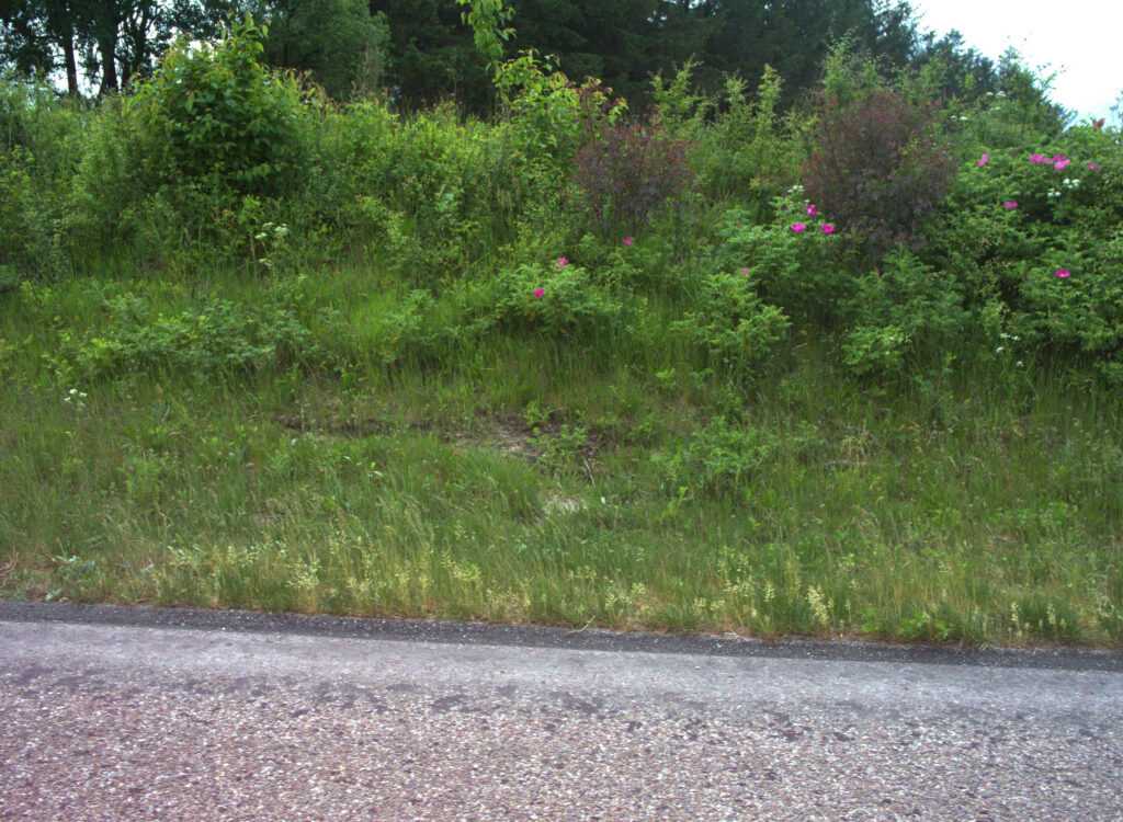 Sample photo from CamAlien showing sharp image when driving 108 km/h