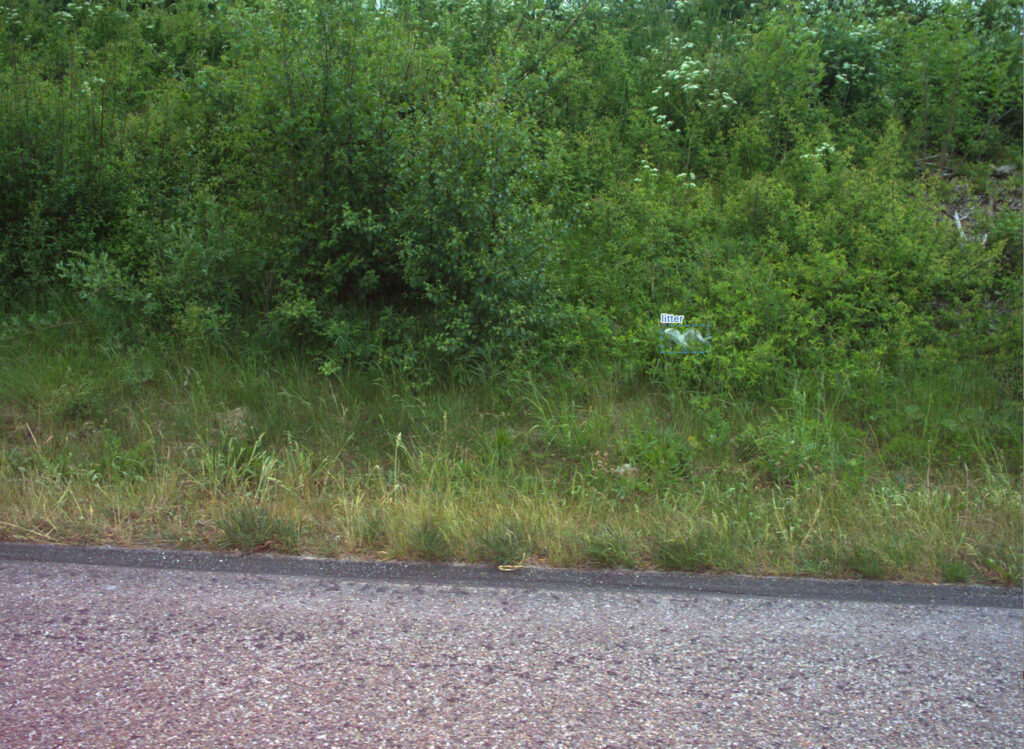 Sample photo of automatic litter detection using CamAlien